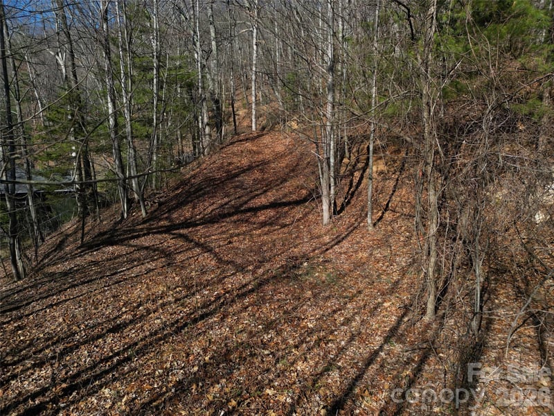 1165 Scenic Cir, Waynesville, NC 28786