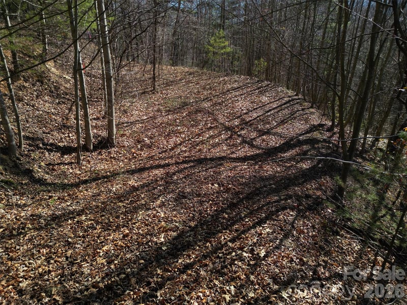 1165 Scenic Cir, Waynesville, NC 28786