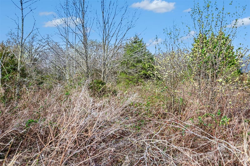 000 Edwards Farm Ln, Monroe, NC 28110