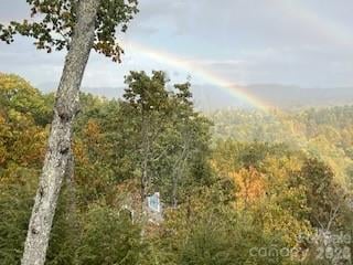 330 Dawnbrook Dr, Flat Rock, NC 28731