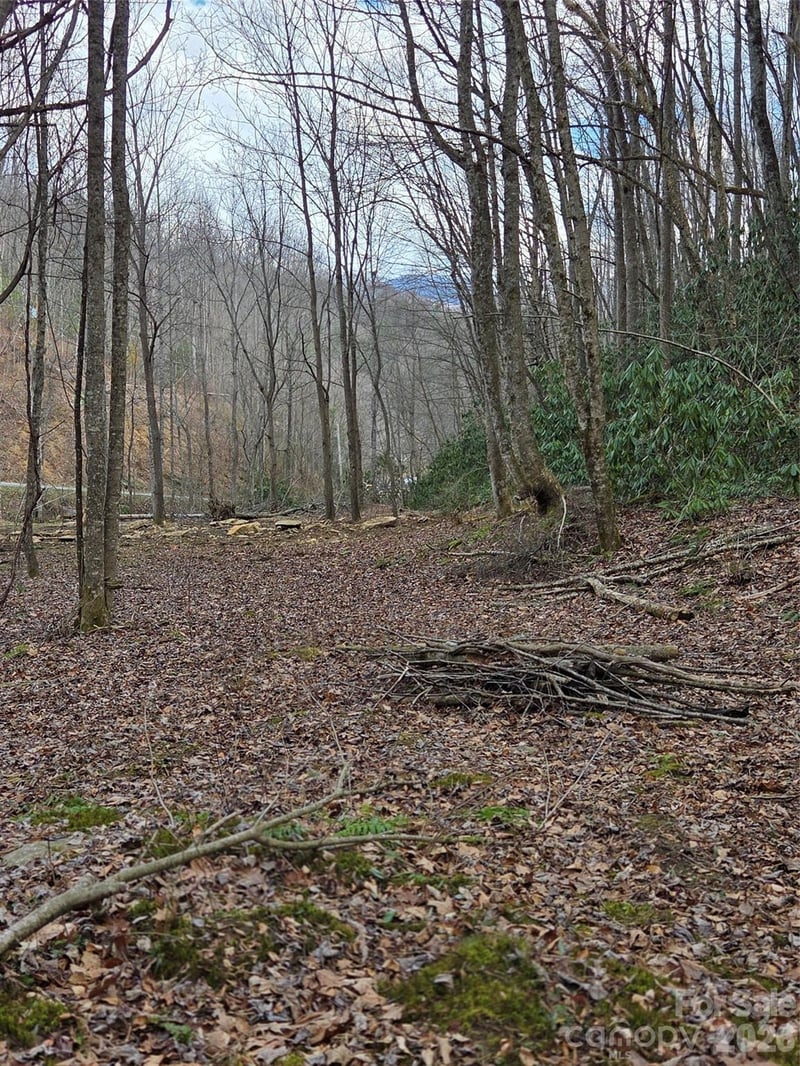 00 Laurel Branch Rd, Waynesville, NC 28785