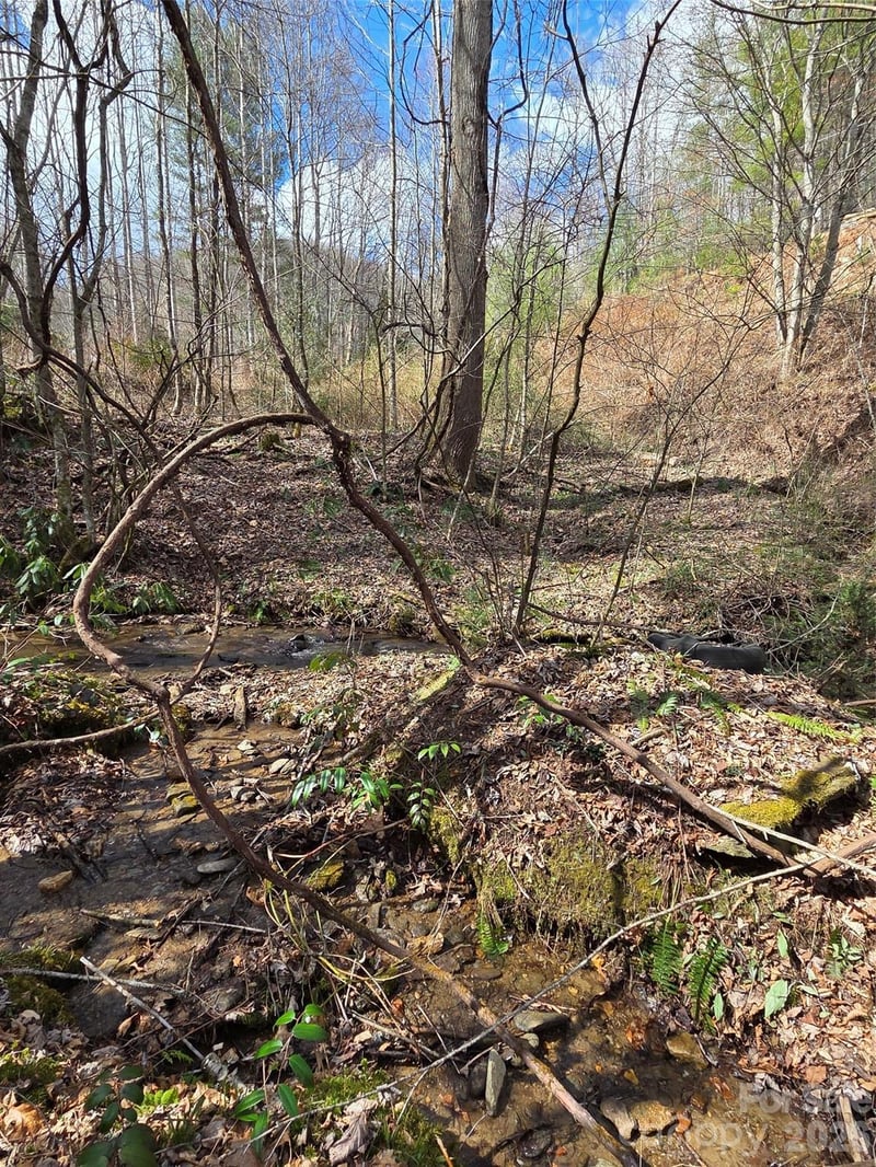 00 Laurel Branch Rd, Waynesville, NC 28785