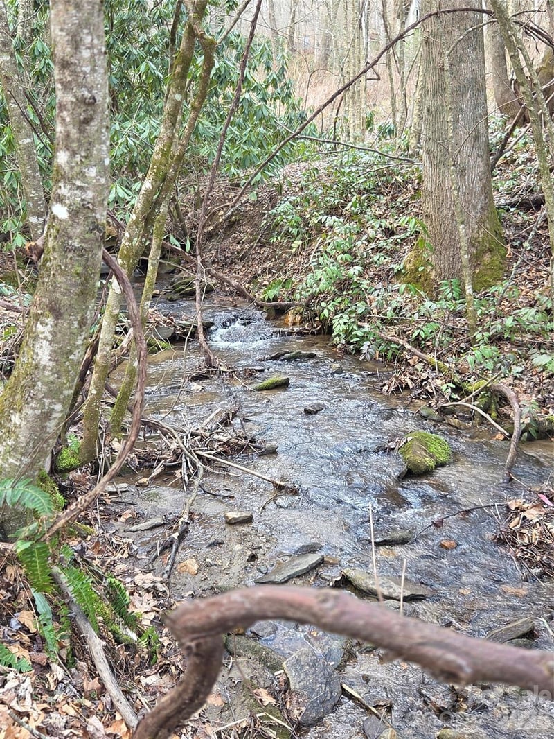 00 Laurel Branch Rd, Waynesville, NC 28785