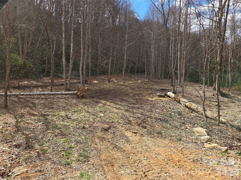 00 Laurel Branch Rd, Waynesville, NC 28785