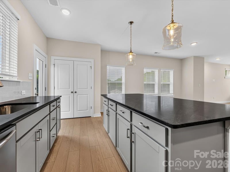1144 Bismuth Ln, Charlotte, NC 28211