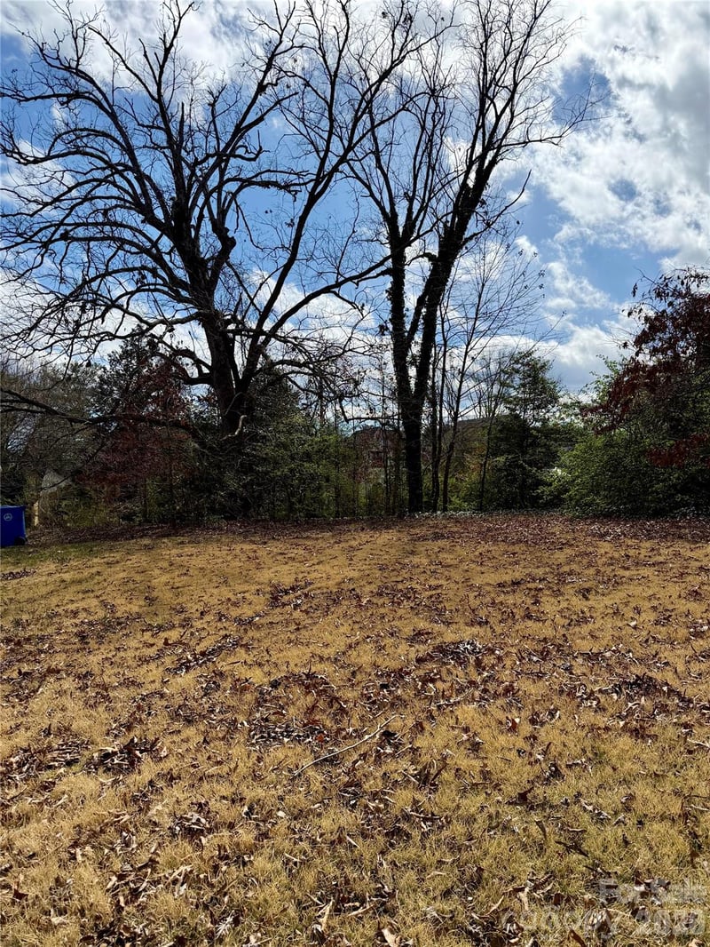 41 Maney Ave, Asheville, NC 28804