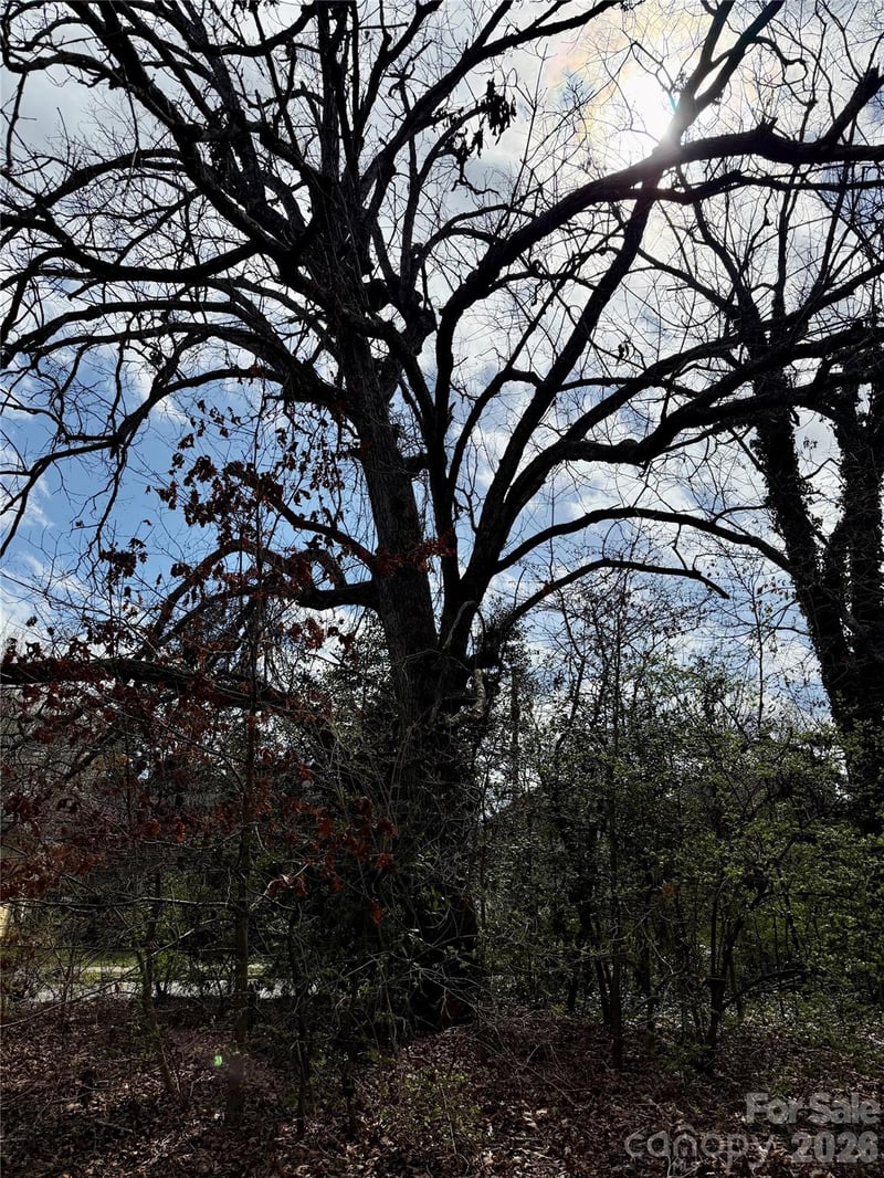 41 Maney Ave, Asheville, NC 28804