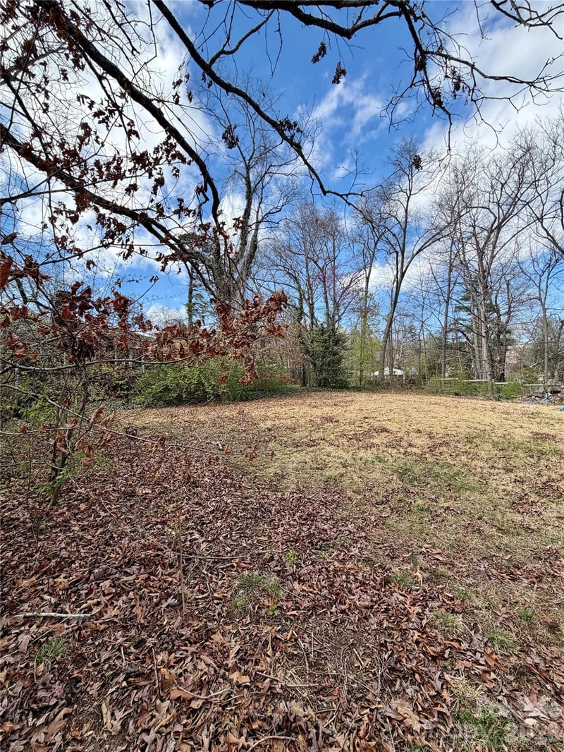 41 Maney Ave, Asheville, NC 28804