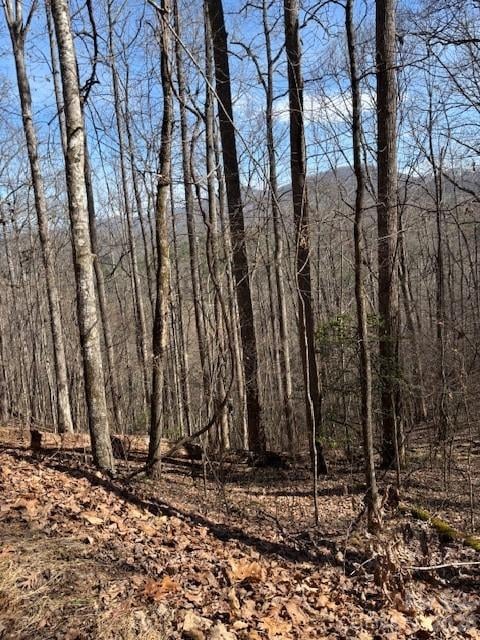Lot 13 Henderson Rd, Franklin, NC 28734