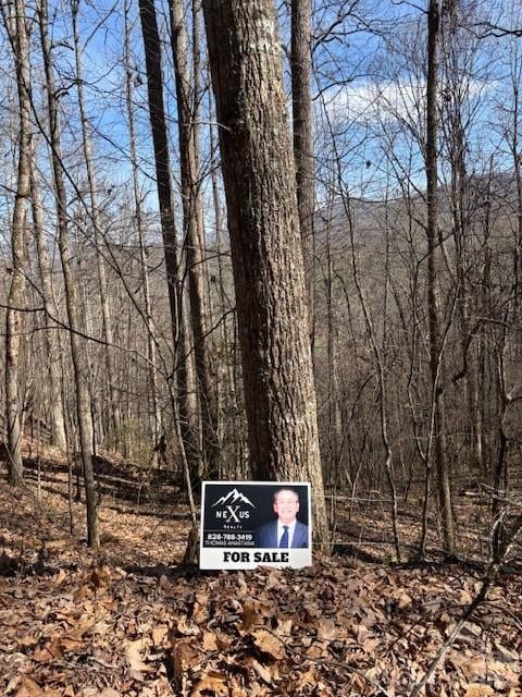 Lot 13 Henderson Rd, Franklin, NC 28734