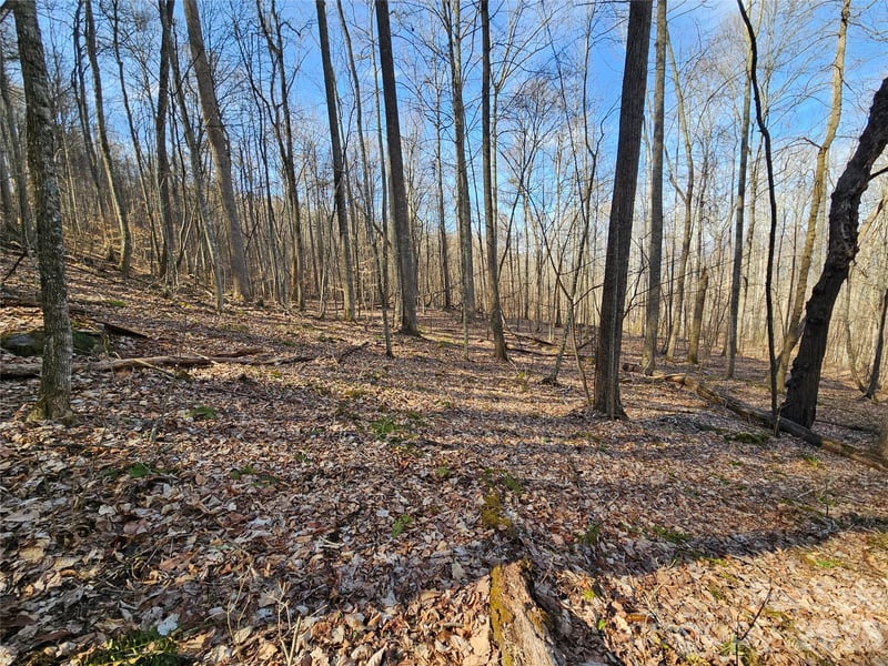 00 Red Wolf Run Rd #E-7, Mars Hill, NC 28754