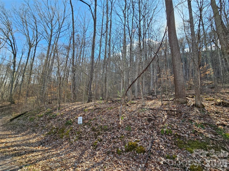 00 Red Wolf Run Rd #E-7, Mars Hill, NC 28754