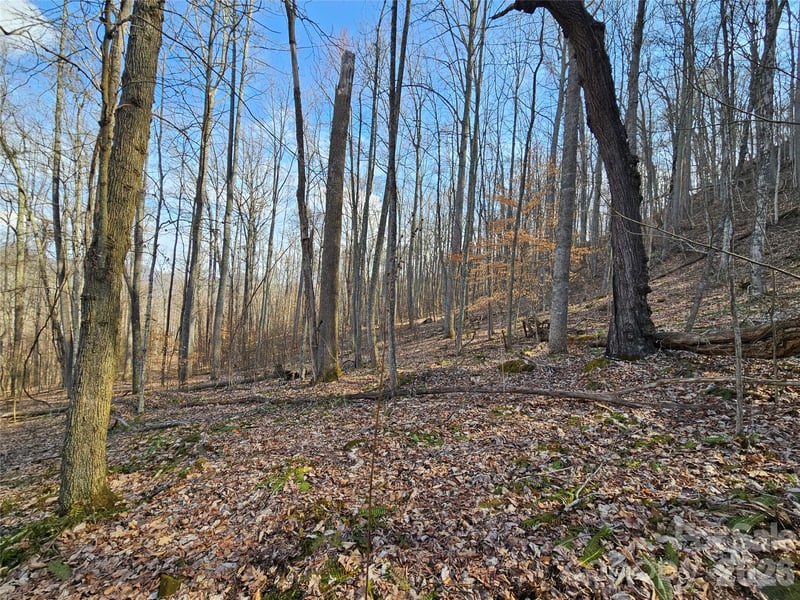 00 Red Wolf Run Rd #E-7, Mars Hill, NC 28754