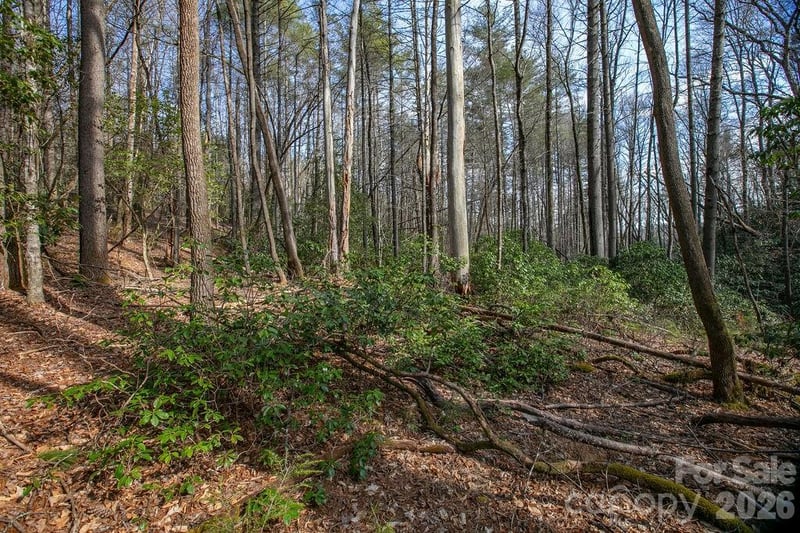 Lot 13 Deerlake Dr #13, Brevard, NC 28712