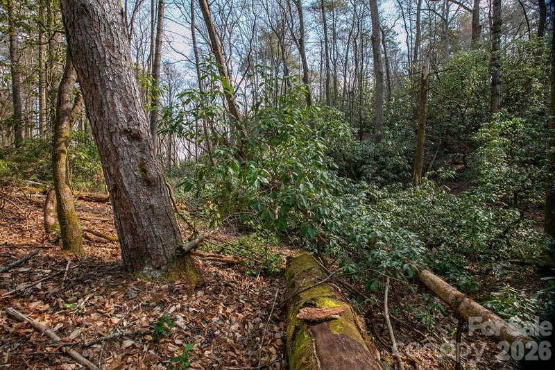 Lot 13 Deerlake Dr #13, Brevard, NC 28712