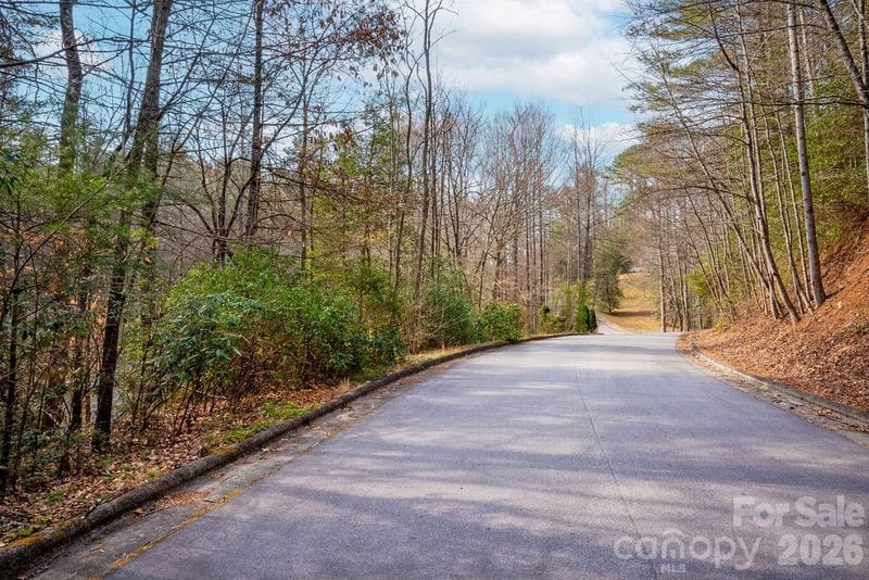 Lot 13 Deerlake Dr #13, Brevard, NC 28712