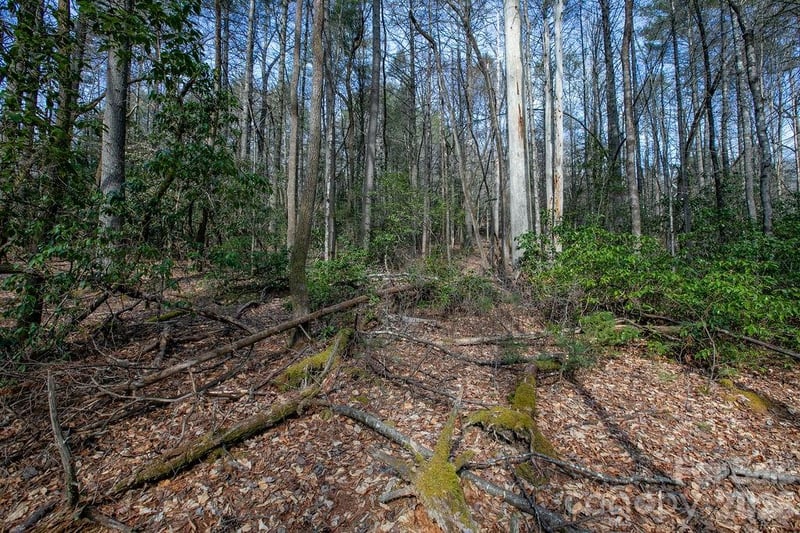 Lot 13 Deerlake Dr #13, Brevard, NC 28712