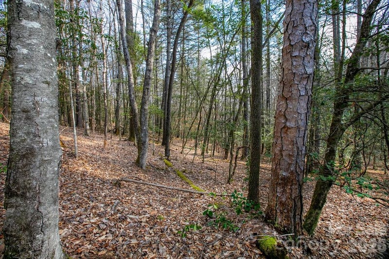 Lot 13 Deerlake Dr #13, Brevard, NC 28712
