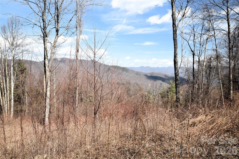 000 Curry Comb Trl #513, Waynesville, NC 28785