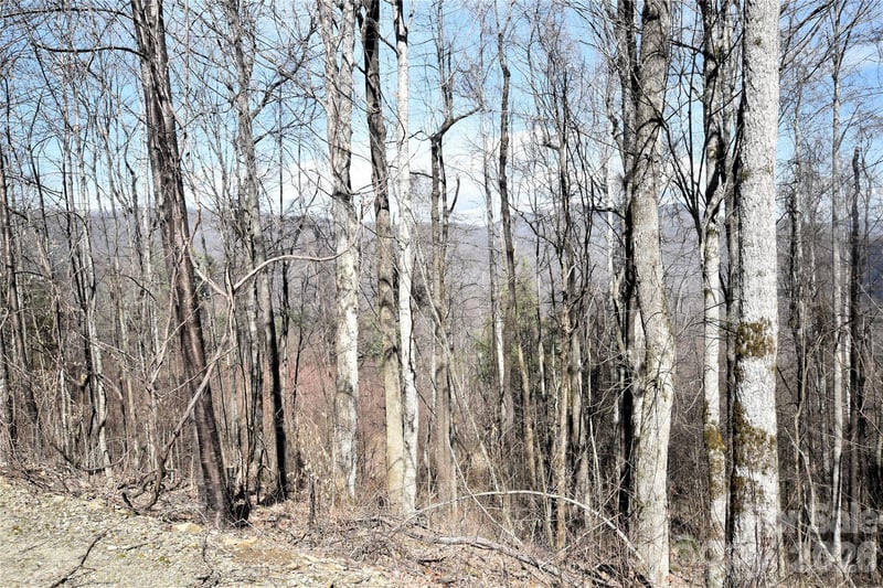 000 Curry Comb Trl #513, Waynesville, NC 28785