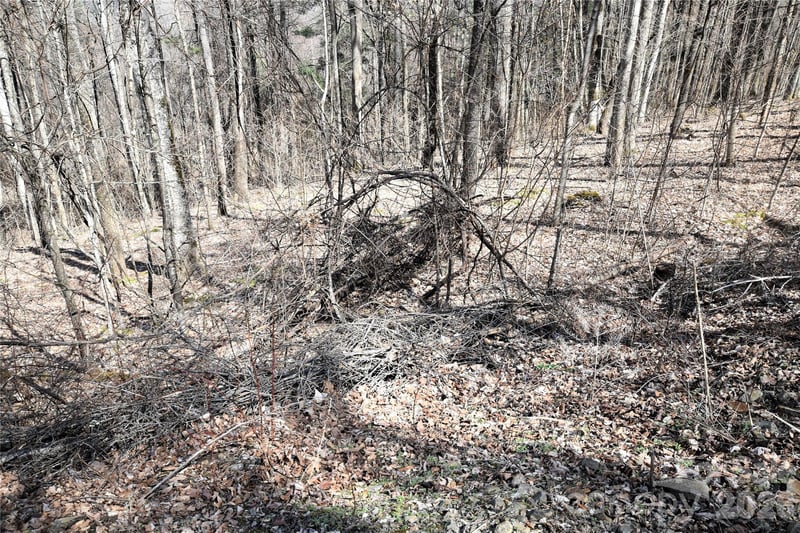 000 Curry Comb Trl #513, Waynesville, NC 28785
