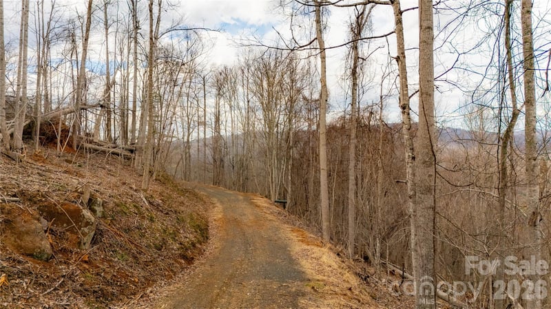 000 Elliotts Loop #123 & 124, Bakersville, NC 28705