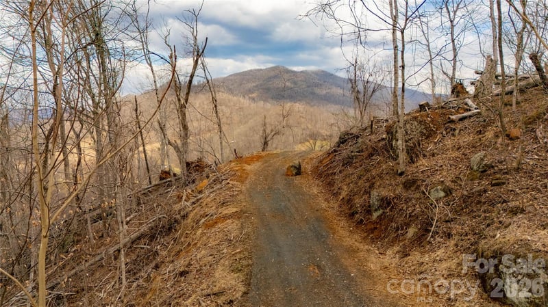 000 Elliotts Loop #123 & 124, Bakersville, NC 28705