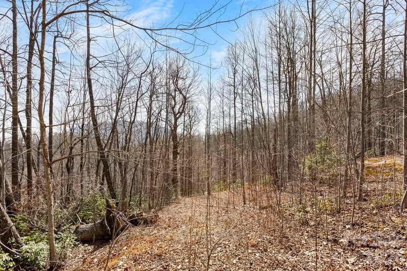 Lot 5 Laurel Mountain Trl, Black Mountain, NC 28711