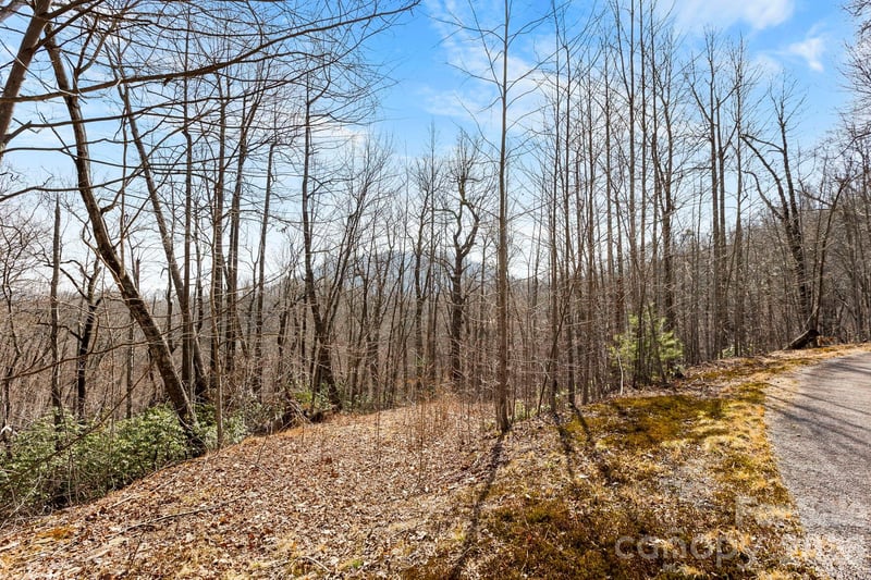 Lot 5 Laurel Mountain Trl, Black Mountain, NC 28711