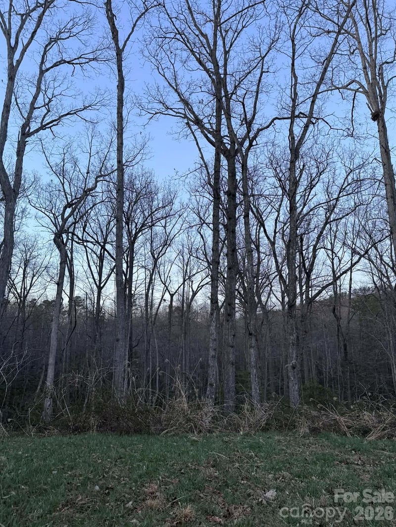 0000 Berea Ave, Connelly Springs, NC 28612
