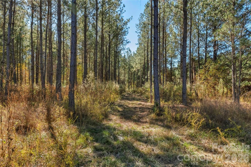 0000 Quarter Round Rd #8, Pacolet, SC 29372