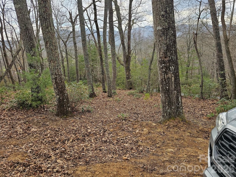 709 Craggyside Ln #24, Arden, NC 28704