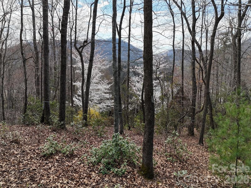 709 Craggyside Ln #24, Arden, NC 28704