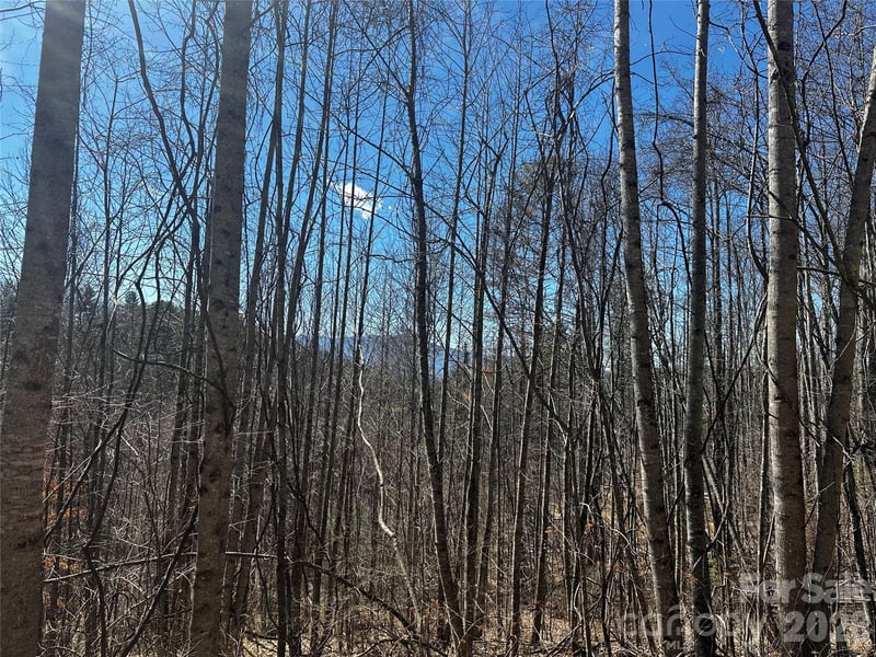 00 Grace Ridge Rd, Bakersville, NC 28705