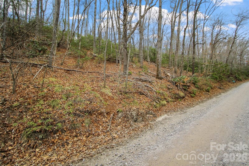 Lot 12 Patton Thicket Rd, Burnsville, NC 28714