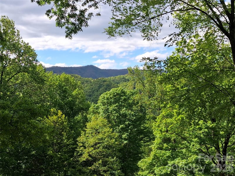 46 Hummingbird Dr, Maggie Valley, NC 28751
