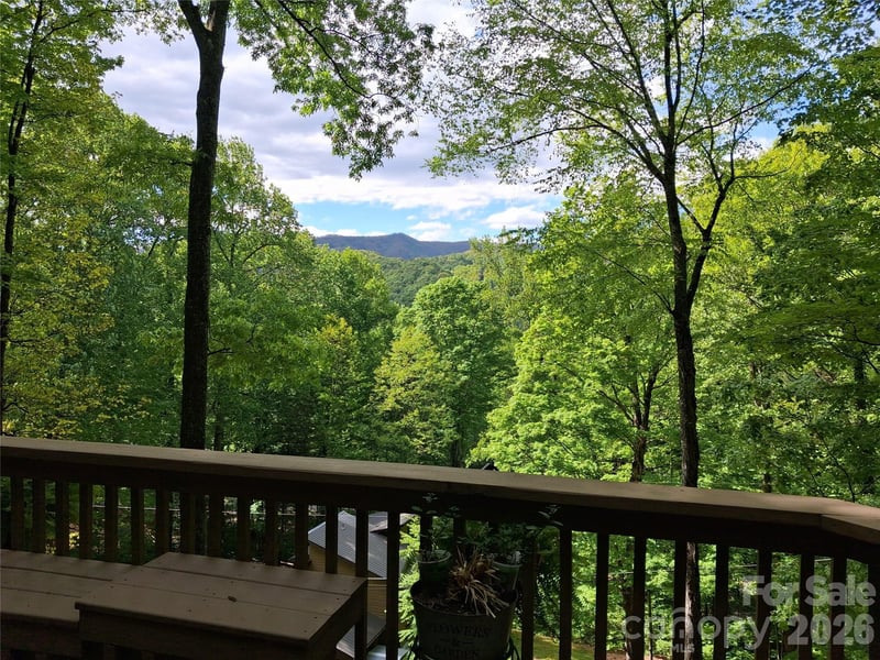 46 Hummingbird Dr, Maggie Valley, NC 28751