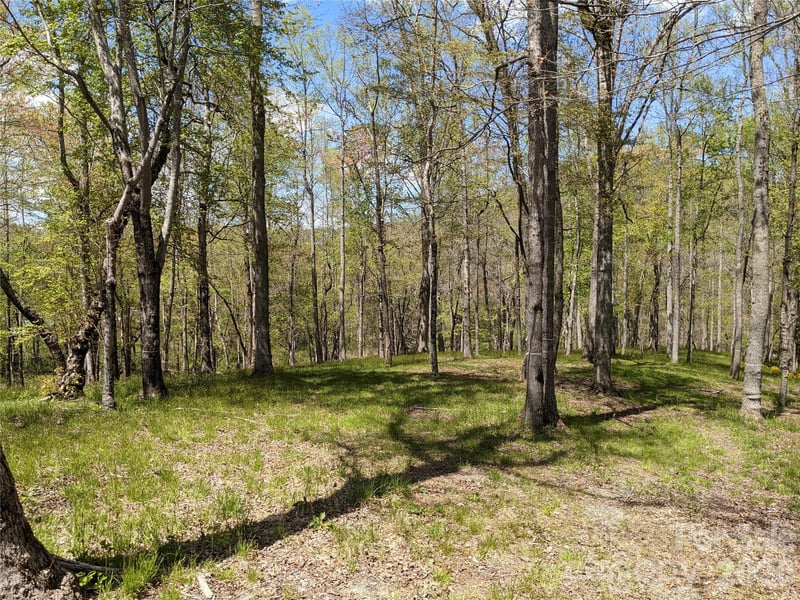 27 Woodtrail Way, Arden, NC 28704