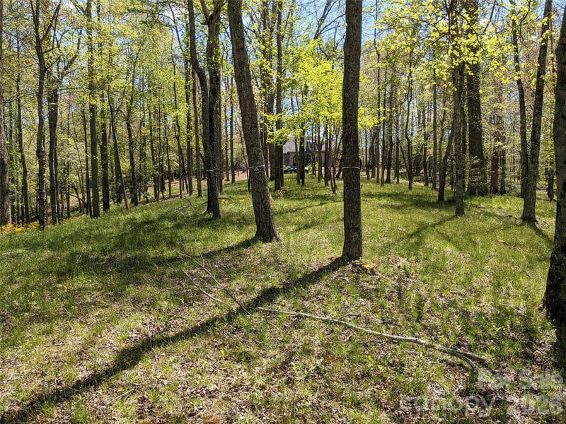 27 Woodtrail Way, Arden, NC 28704