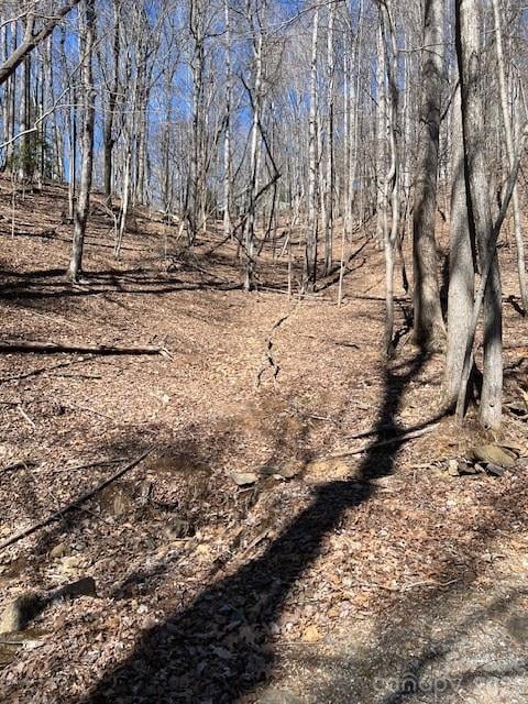 803254 Ivy Rd #219, Mills River, NC 28759