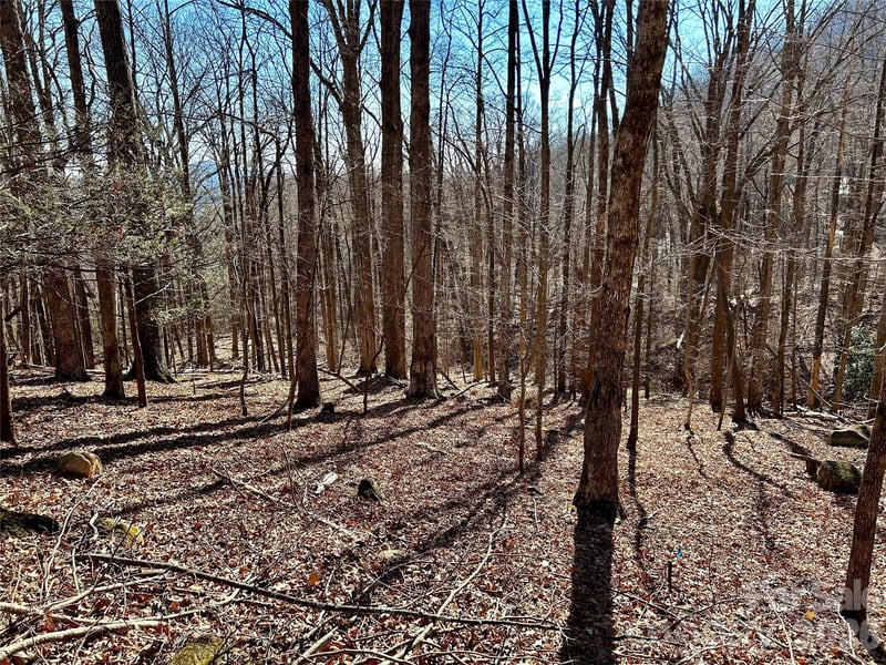 Lot 229 Swallow Ln, Lake Lure, NC 28746