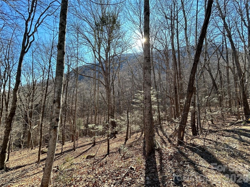 Lot 229 Swallow Ln, Lake Lure, NC 28746