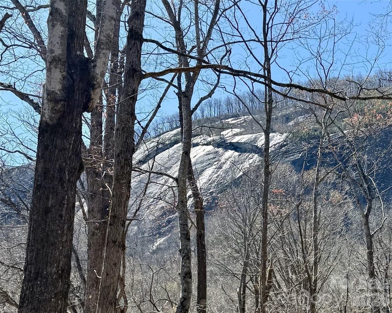 Lot 229 Swallow Ln, Lake Lure, NC 28746