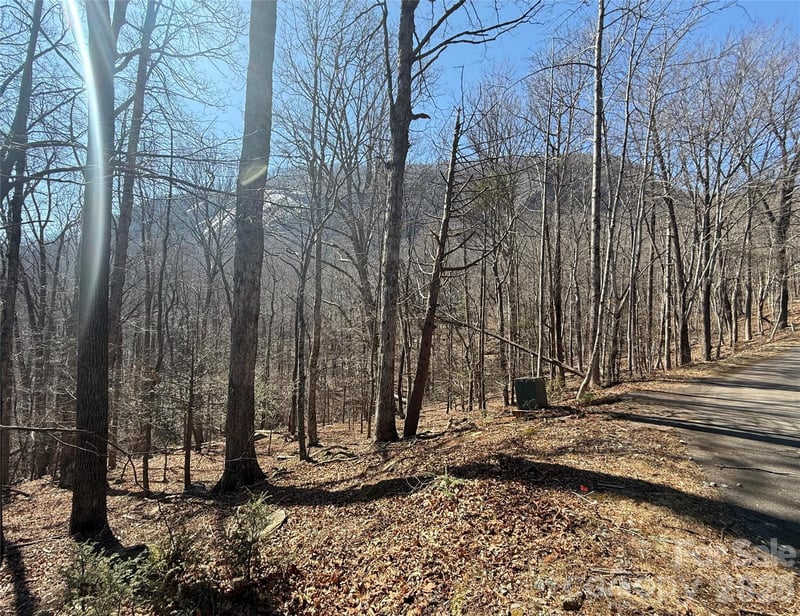 Lot 229 Swallow Ln, Lake Lure, NC 28746