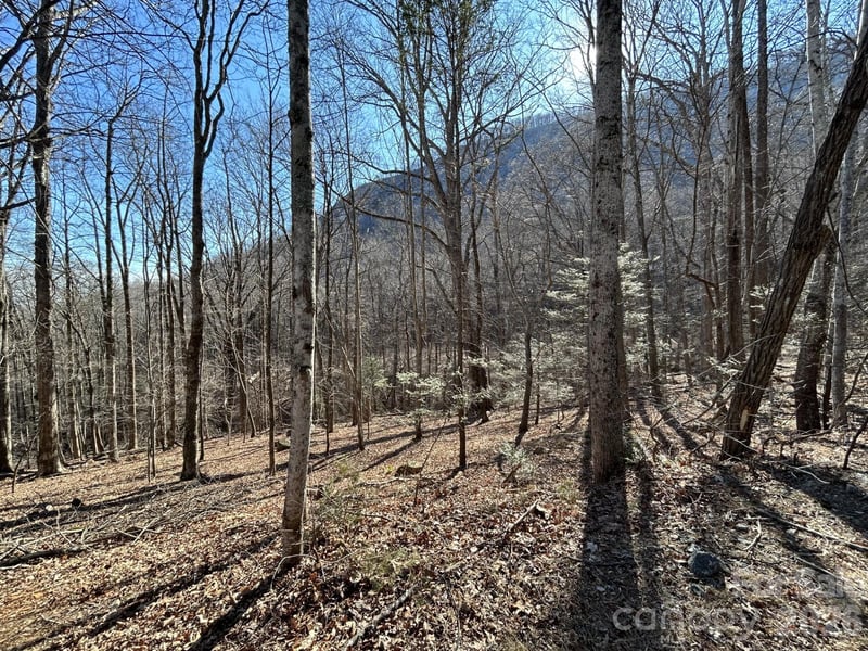 Lot 229 Swallow Ln, Lake Lure, NC 28746