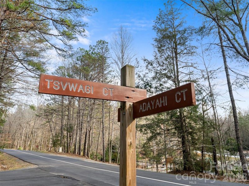 TBD Tsvwagi Ct #2/25, Brevard, NC 28712