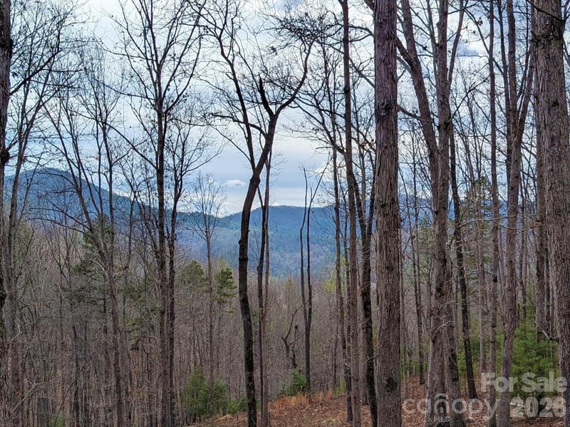 51 Wild Turkey Loop #32, Marshall, NC 28753