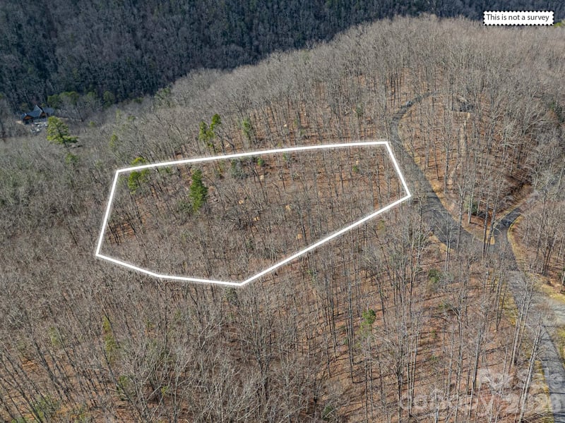 51 Wild Turkey Loop #32, Marshall, NC 28753