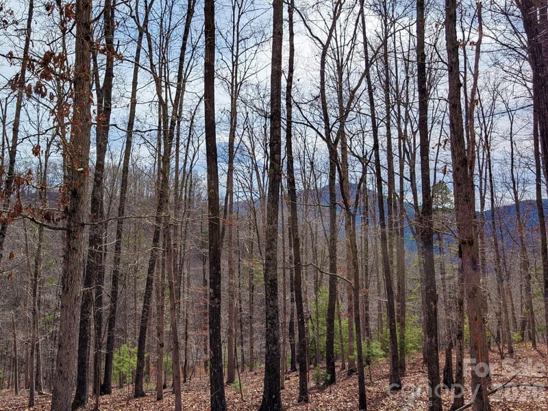 51 Wild Turkey Loop #32, Marshall, NC 28753