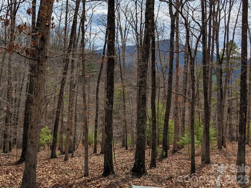 51 Wild Turkey Loop #32, Marshall, NC 28753